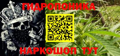 шишки Ливны