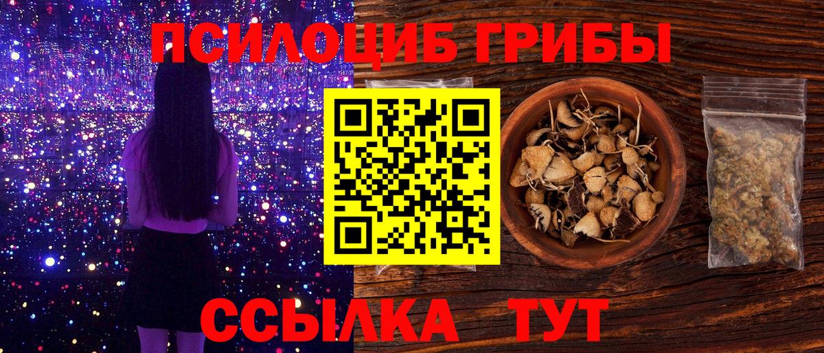 Псилоцибиновые грибы Cubensis Воронеж